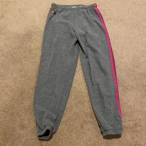 Aviator Nation Sweatpants in Gray 4 stripe Neon